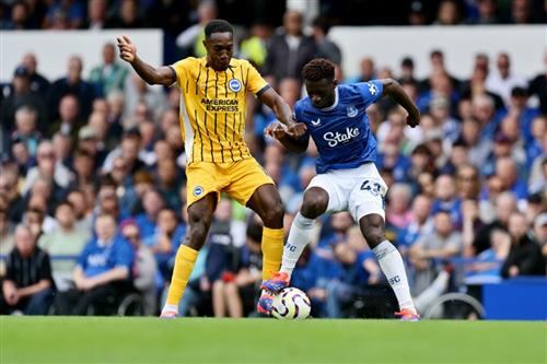 Zoom Live Bet: Ultimate Guide and Tips